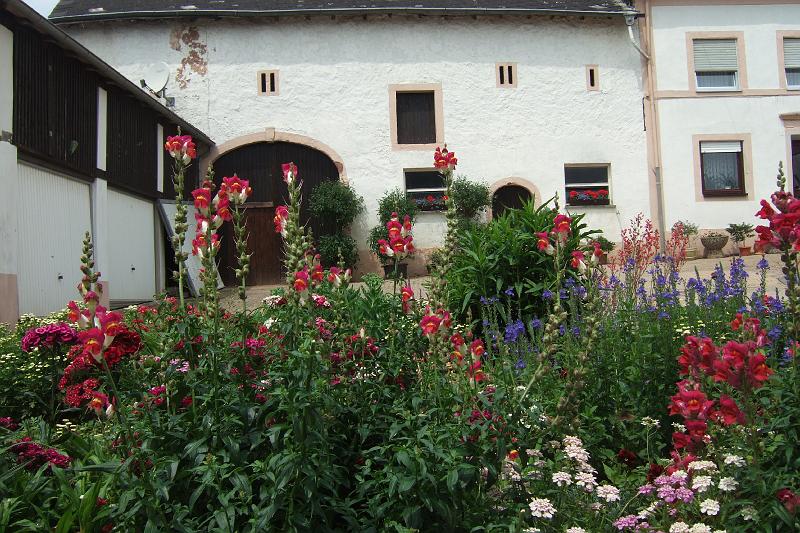 3-2-09 Bauernhof bei Kuemmern.JPG - Üppige Blumenpracht im kleinsten Dorf: Bauernhof in Kümmern